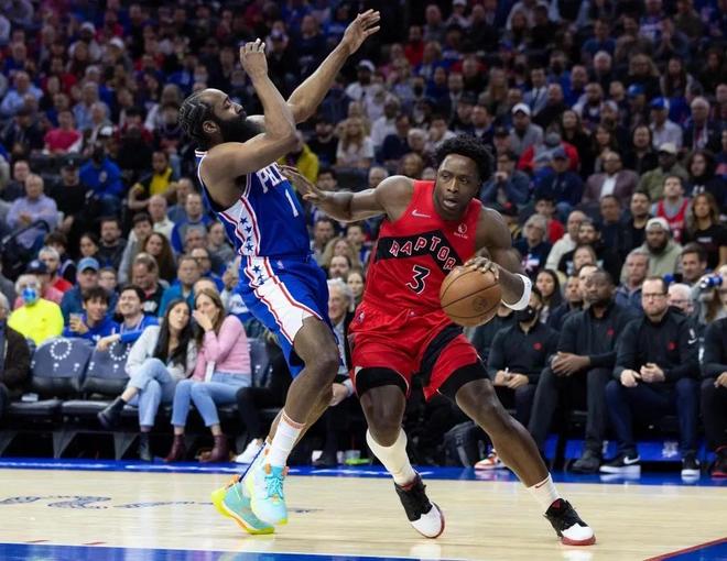 了黄蜂大量 了黄蜂大量