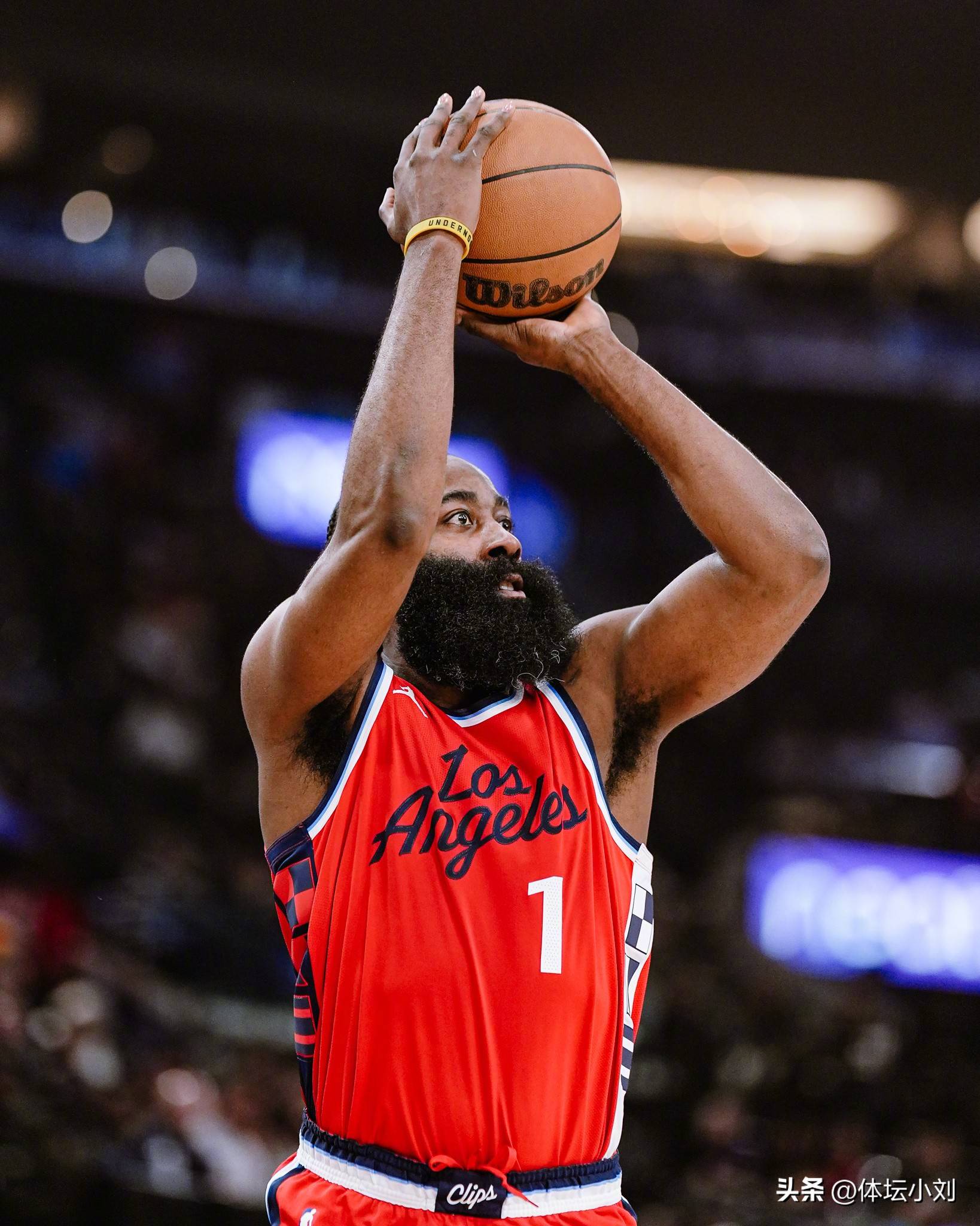 年轻阵容 年轻阵容