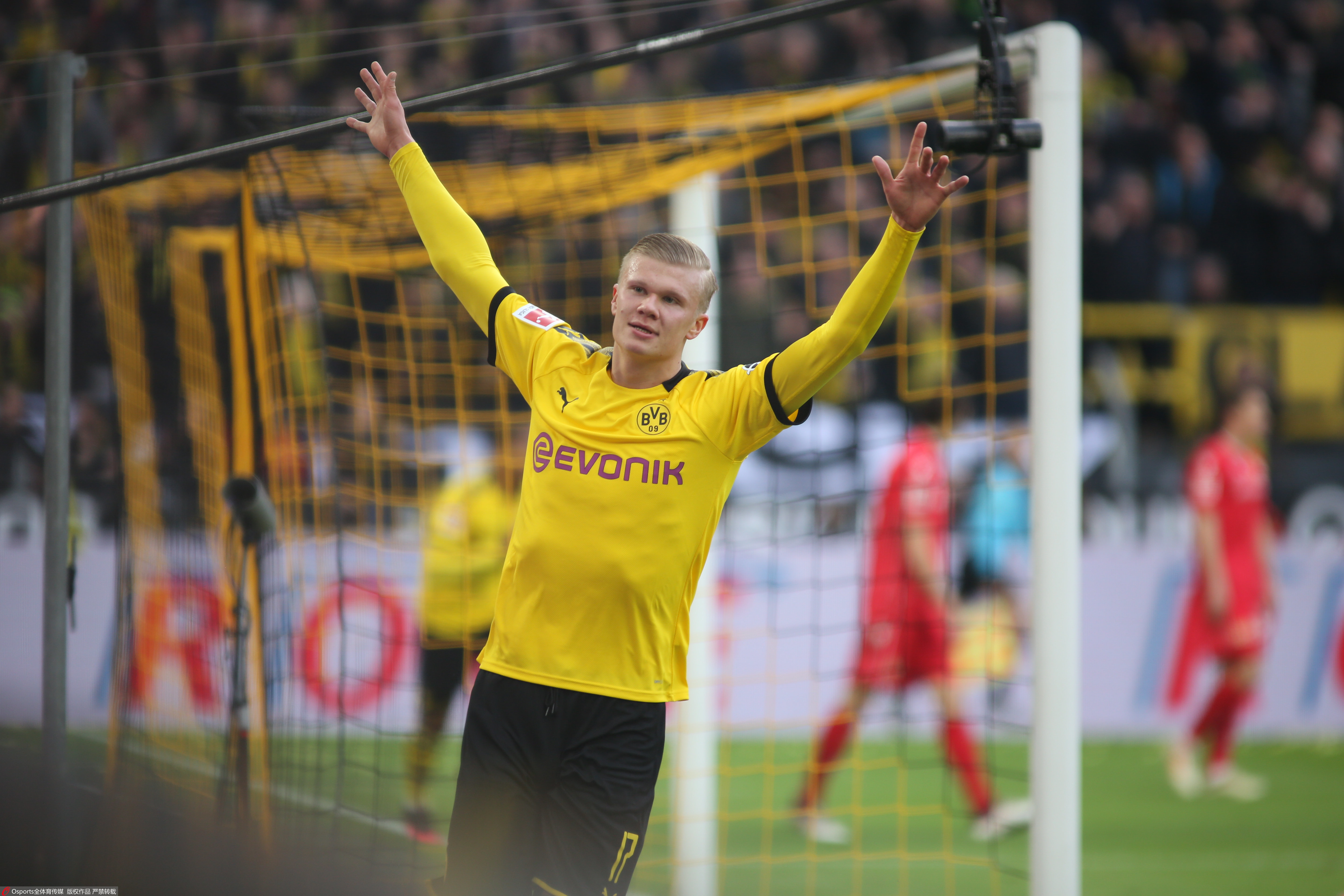 雄鹿的争冠 雄鹿的争冠